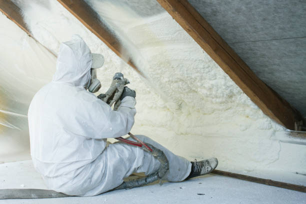 Best Insulation Air Sealing  in Benton Harbor, MI